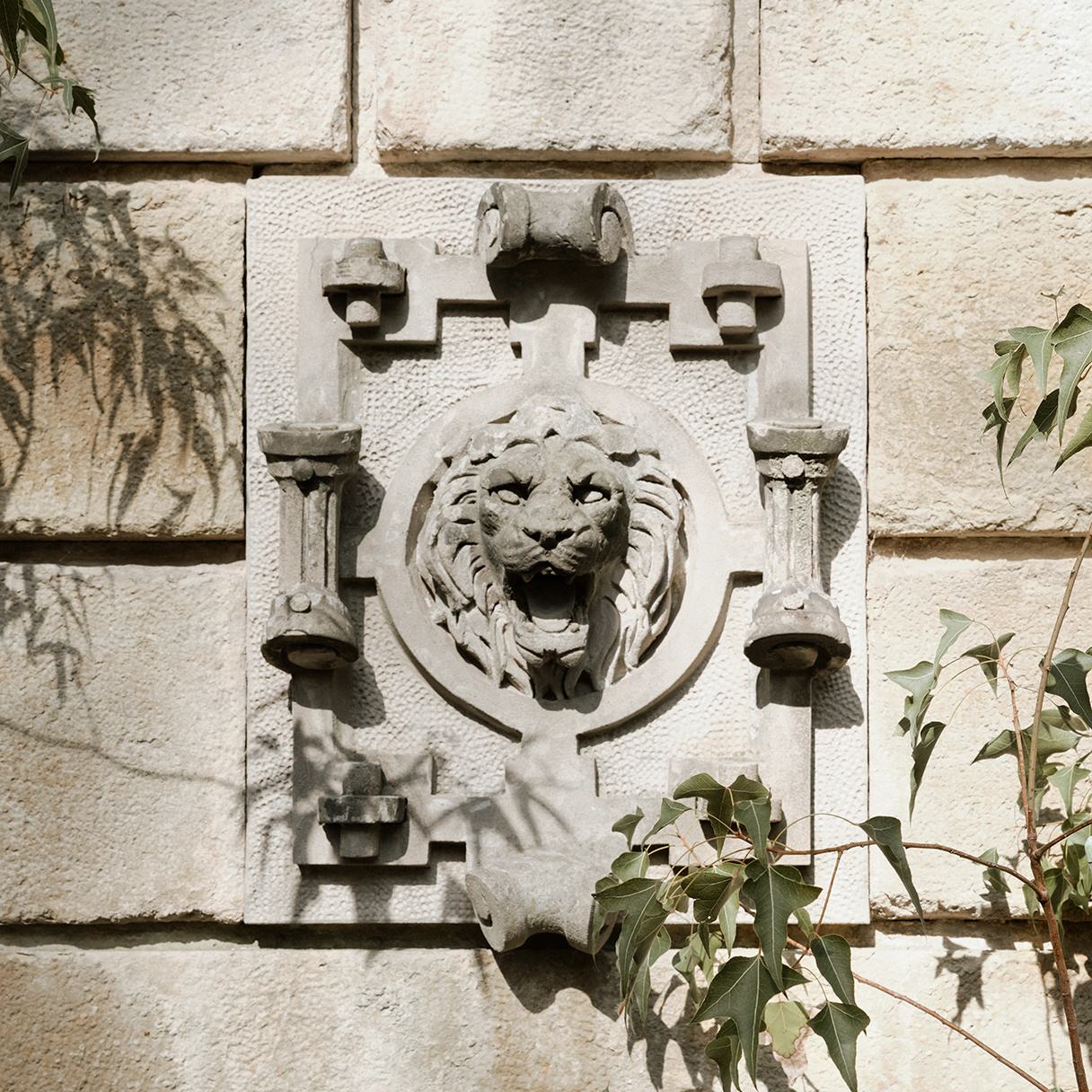 Villa Waldpark, Dresden – Löwenkopf-Relief an der Fassade, Fotografie